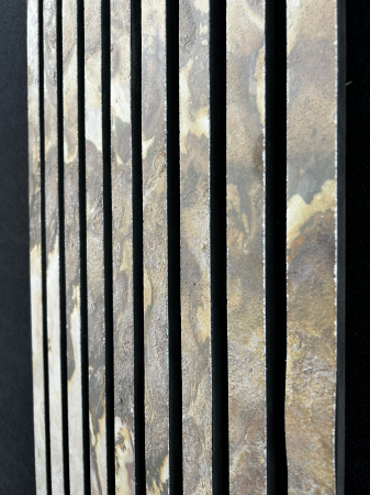 Panou Indian Autumn 41 x 244 cm (1 MP) [2]