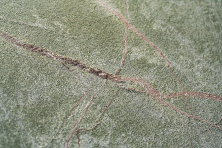 Rainforest Green 122x244 cm (2,997 mp ) [3]