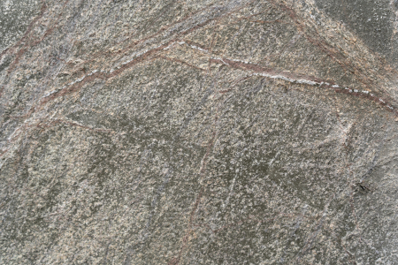 Rainforest Green 61x122 cm (0,7442 mp) [6]