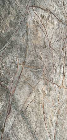 Rainforest Green 61x122 cm (0,7442 mp) [3]