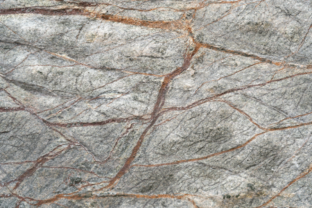 Rainforest Green 61x122 cm (0,7442 mp) [8]