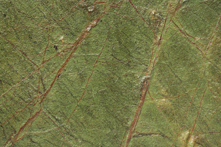 Rainforest Green 61x122 cm (0,7442 mp) [14]