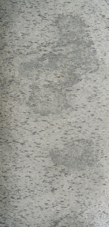 Silver Shine 61x122 cm (0,7442 mp) [1]