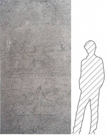 Produse - Star Galaxy 122x244 cm