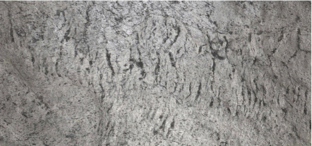 Mostra Silver Shine A6 [5]