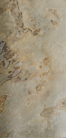 Acasa - Tan 61x122 cm (0,7442 mp)