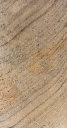 Translucid-Burning Forest 122x244 cm [5]