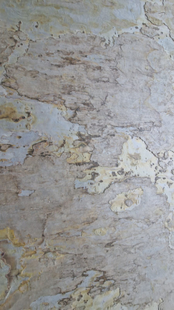 Translucid-S White 122x244 cm [4]