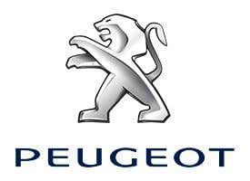 Lampi cu LED Peugeot