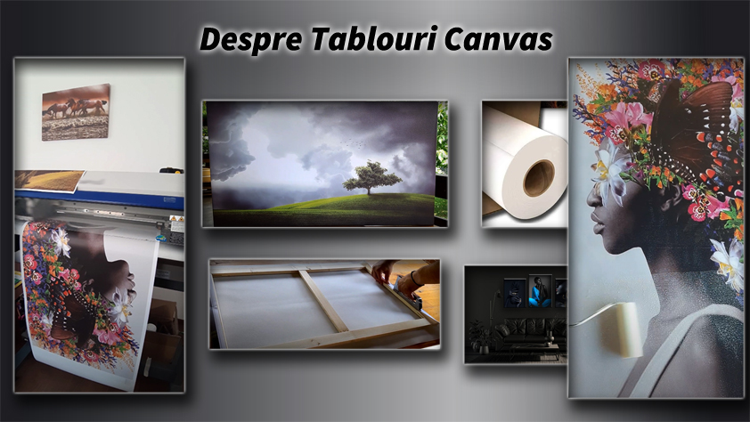 TABLOURI CANVAS