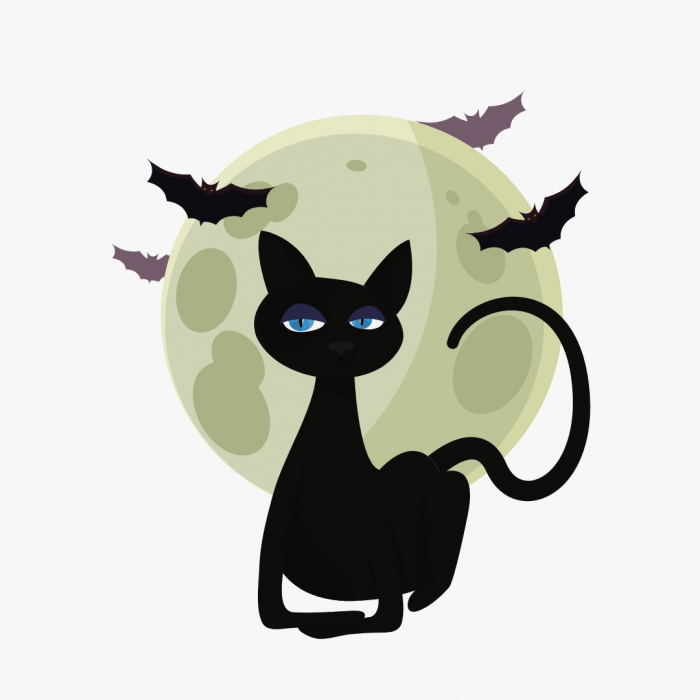 Tricou Halloween Print Pisica cu Lilieci [2]
