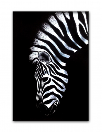 Tablou Canvas Print Zebra [1]