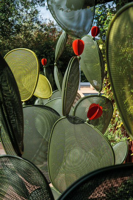 Obiecte decorative FICUS [11]