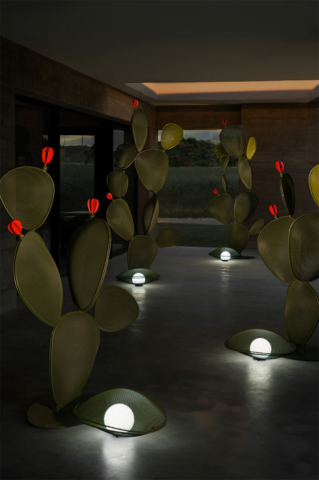 Obiecte decorative FICUS [10]