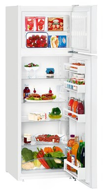 Automat frigorific cu SmartFrost CTPe 251-26 [3]