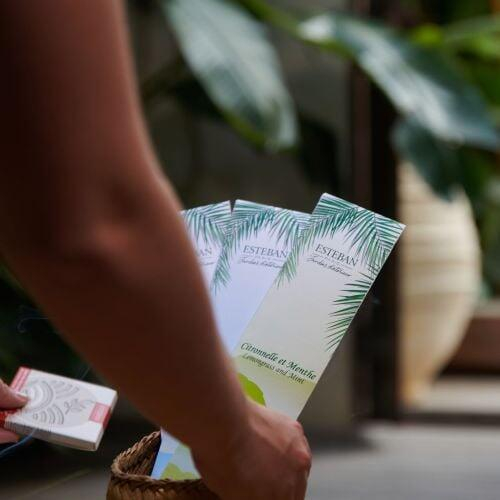Betisoare Parfumate Lemongrass&Mint - Esteban Paris [3]