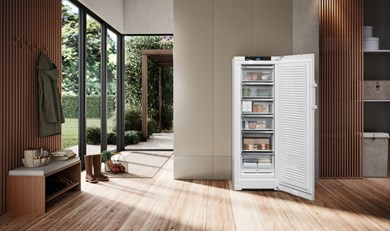 Congelator vertical cu NoFrost FNb 505i Prime [5]