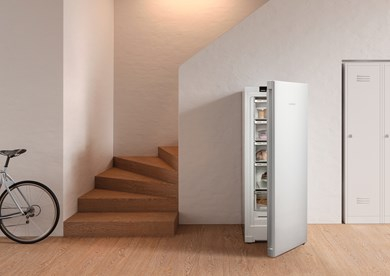 Congelator vertical cu NoFrost FNe 4605 Pure [4]