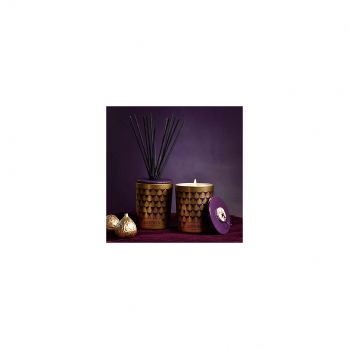 Difuzor deco. Figue Noire&Rezerva 100ml - Esteban Paris [2]
