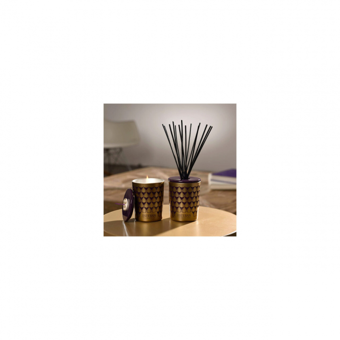 Difuzor deco. Figue Noire&Rezerva 100ml - Esteban Paris [3]