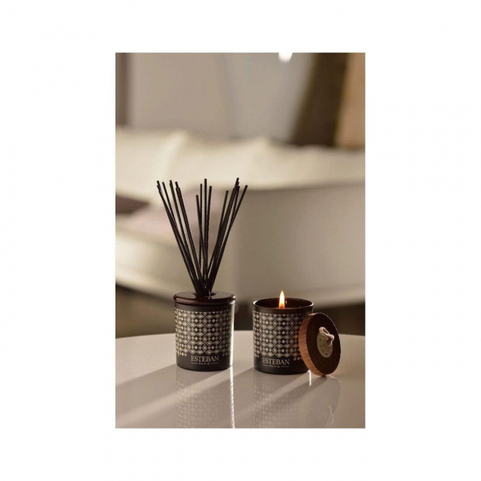 Difuzor deco. Teck&Tonka &Rezerva 100ml - Esteban Paris [3]