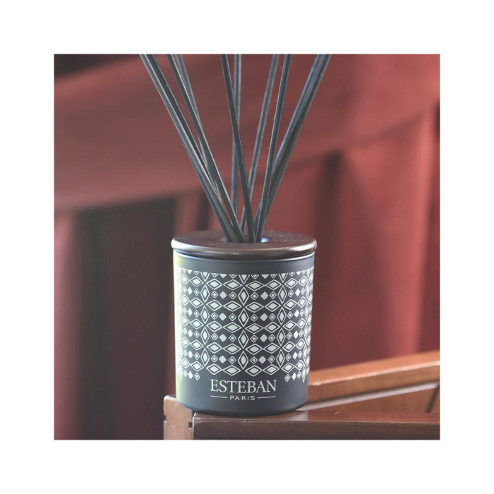 Difuzor deco. Teck&Tonka &Rezerva 100ml - Esteban Paris [2]