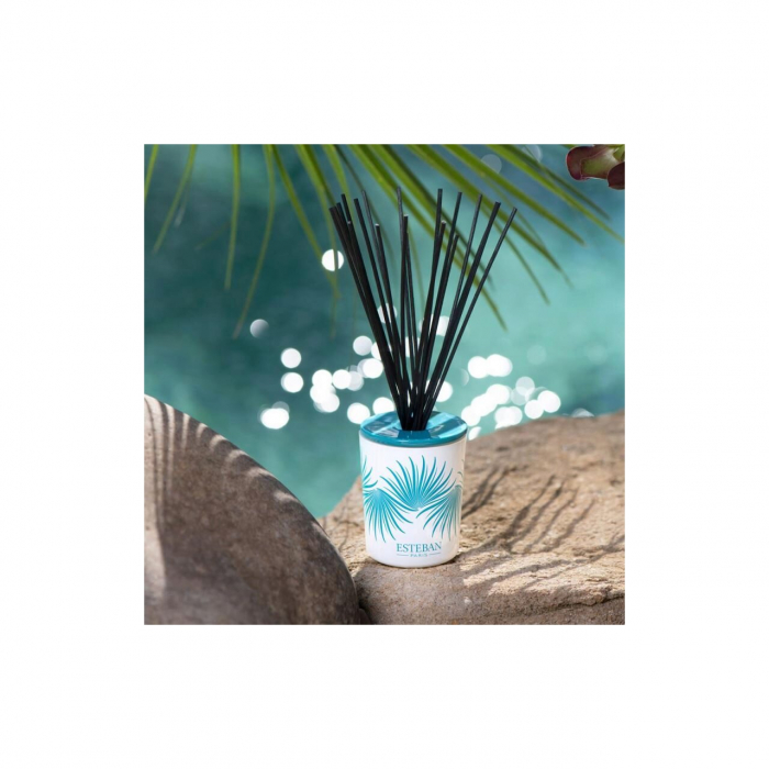 Difuzor deco. Ylang Ylang&Rezerva 100ml - Esteban Paris [2]