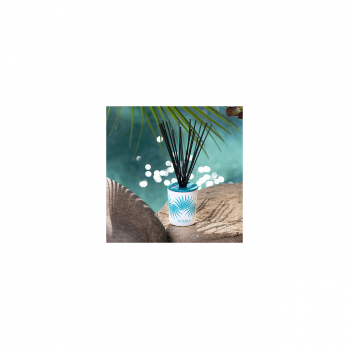 Difuzor deco. Ylang Ylang&Rezerva 100ml - Esteban Paris [3]