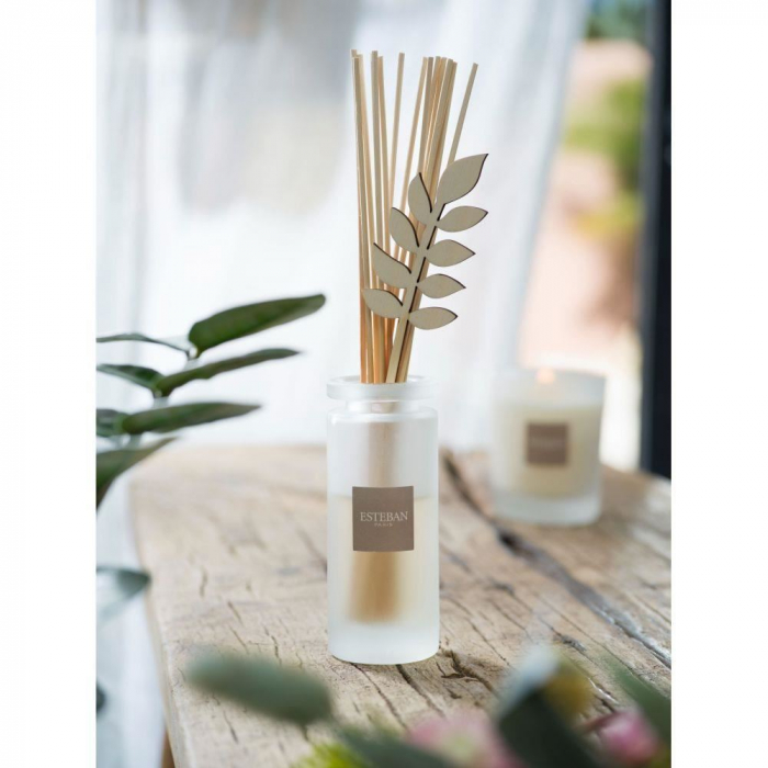 Difuzor Parfum Aloe Flower 100ml - Esteban Paris [7]