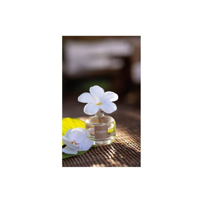 Difuzor Parfum Floare White Cotton 75ml - Esteban Paris [2]