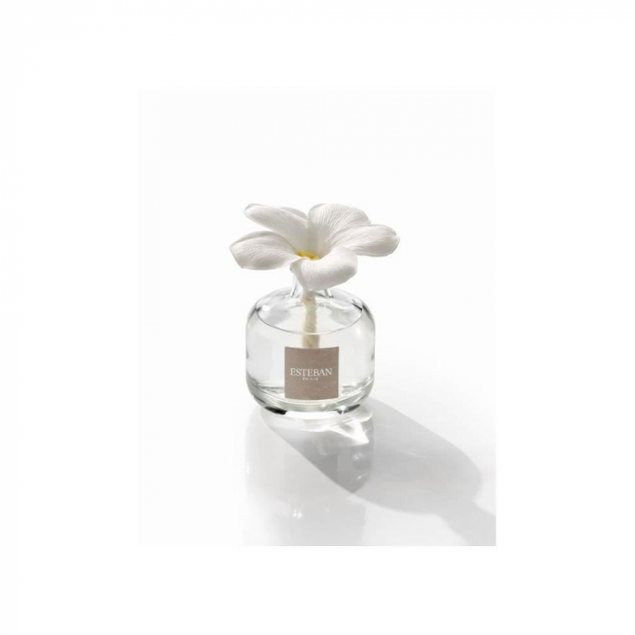 Difuzor Parfum Floare White Cotton 75ml - Esteban Paris [8]