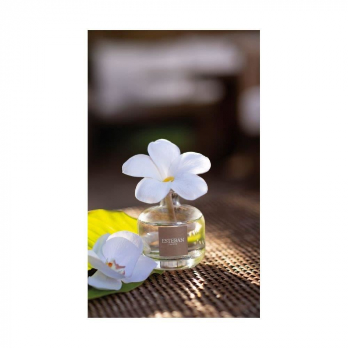 Difuzor Parfum Floare White Cotton 75ml - Esteban Paris [9]