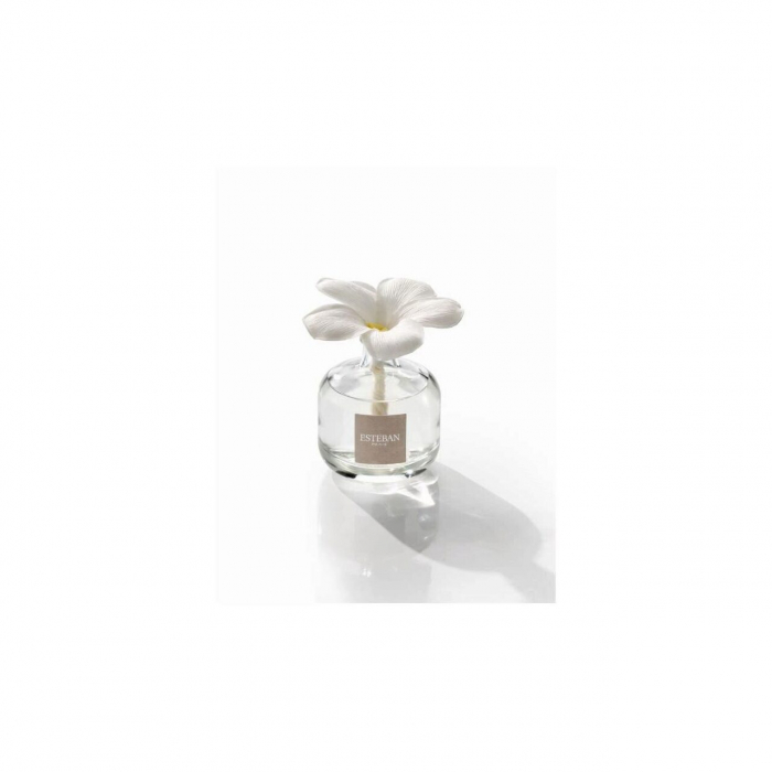 Difuzor Parfum Floare White Cotton 75ml - Esteban Paris [3]