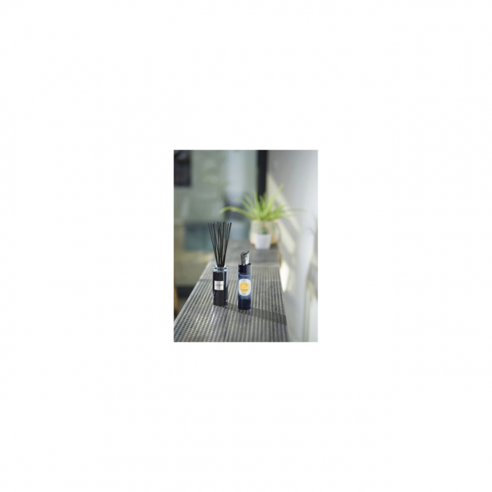 Difuzor Parfum Amber&Vanilla 100ml - Esteban Paris [2]