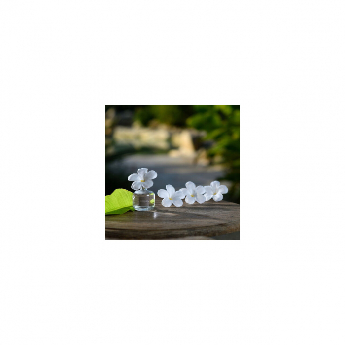 Difuzor Parfum Floare Orange Blossoms 75ml - Esteban Paris [5]