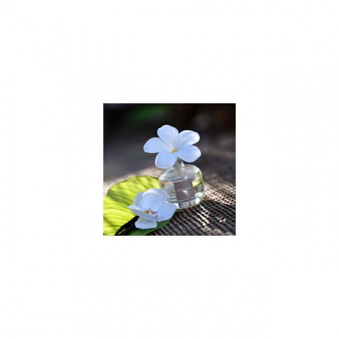 Difuzor Parfum Floare Orange Blossoms 75ml - Esteban Paris [4]