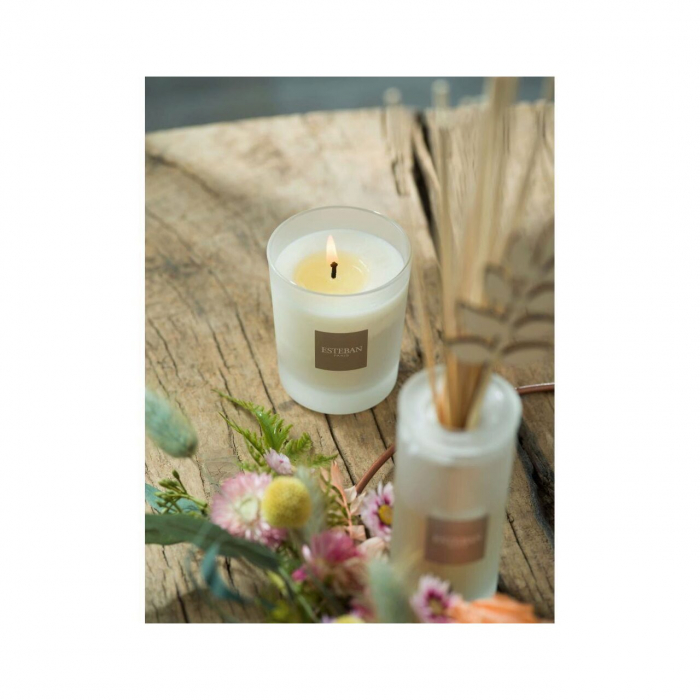 Difuzor Parfum Linen Freshness 100ml - Esteban Paris [4]