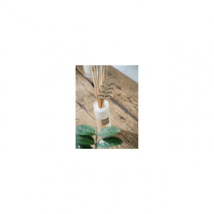 Difuzor Parfum Orange&Green Tea 100ml - Esteban Paris [7]