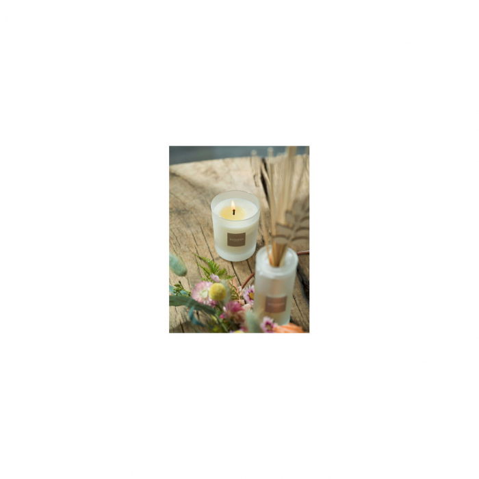 Difuzor Parfum Orange&Green Tea 100ml - Esteban Paris [8]
