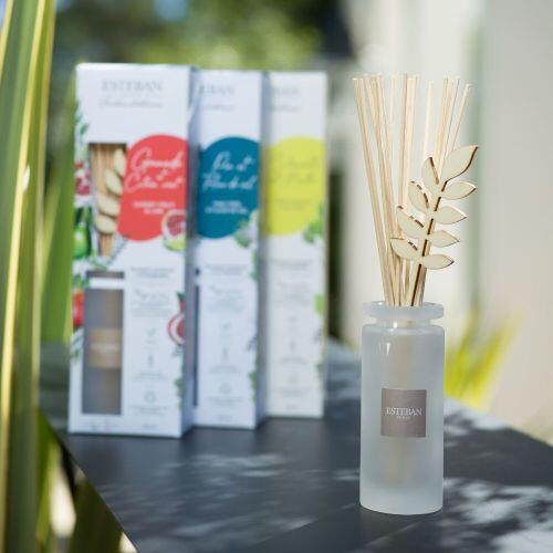 Difuzor Parfum Pomegranate&Lime 100ml - Esteban Paris [3]