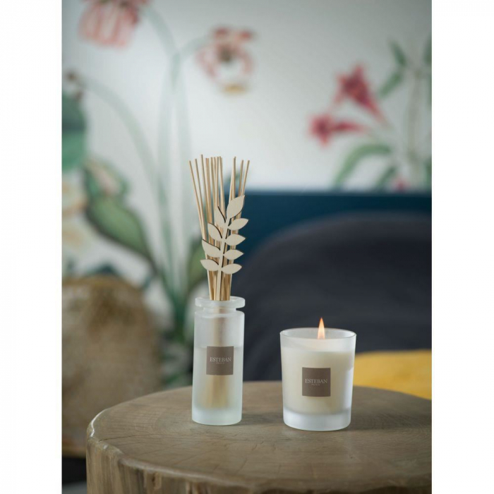 Difuzor Parfum Summer Jasmine 100ml - Esteban Paris [4]