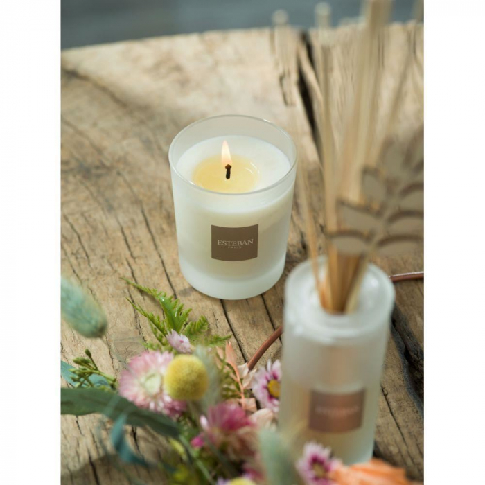 Difuzor Parfum Summer Jasmine 100ml - Esteban Paris [3]