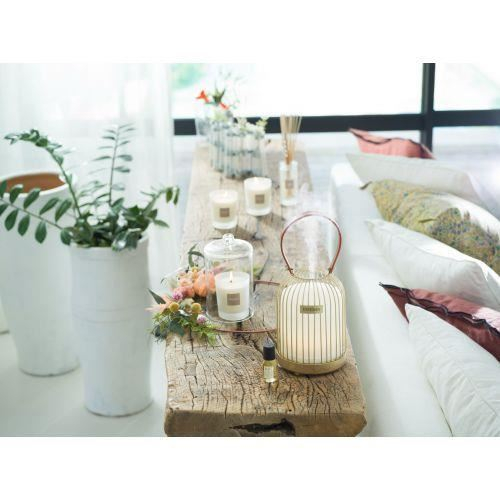 Esenta Ulei White Cotton - Esteban Paris [7]