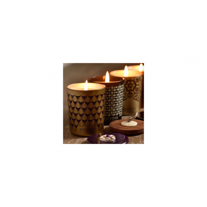Lumanare deco. Figue Noire - Esteban Paris [2]