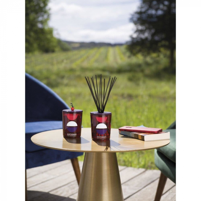 Lumanare decorativa Rouge Cassis - Esteban Paris [3]