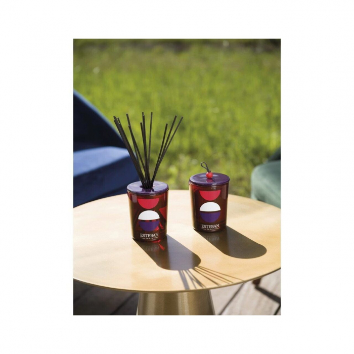 Lumanare decorativa Rouge Cassis - Esteban Paris [2]