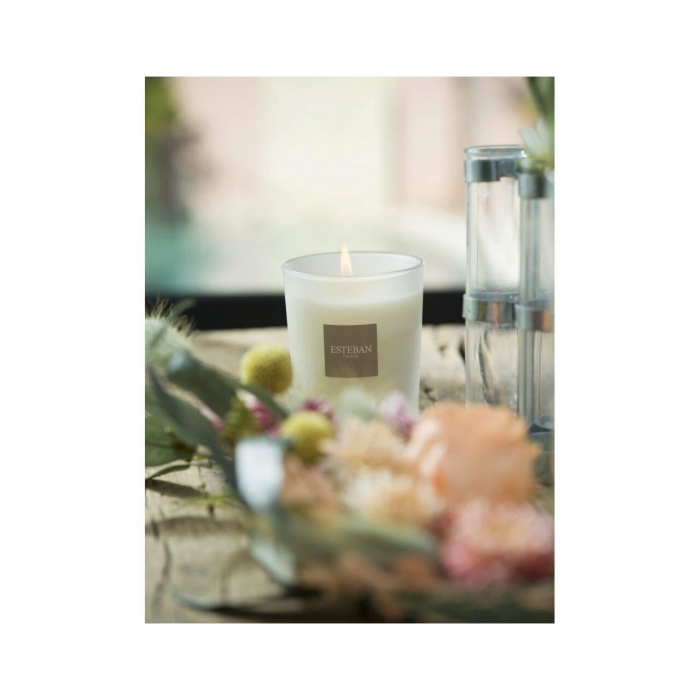 Lumanare Parfumata White Cotton - Esteban Paris [3]