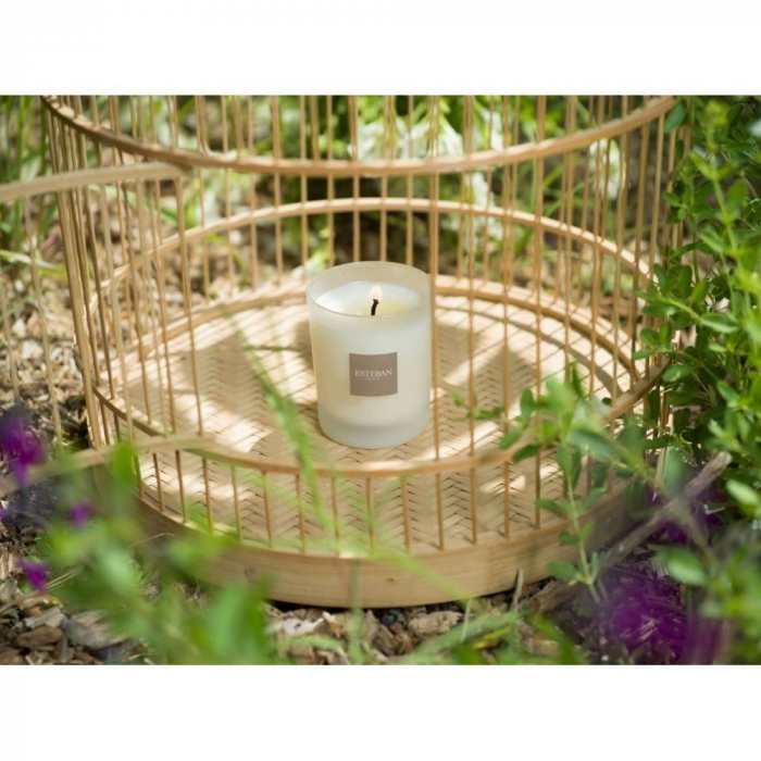 Lumanare Parfumata White Cotton - Esteban Paris [10]