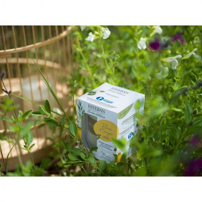 Lumanare Parfumata White Cotton - Esteban Paris [9]