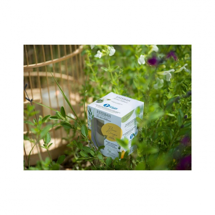Lumanare Parfumata White Cotton - Esteban Paris [4]
